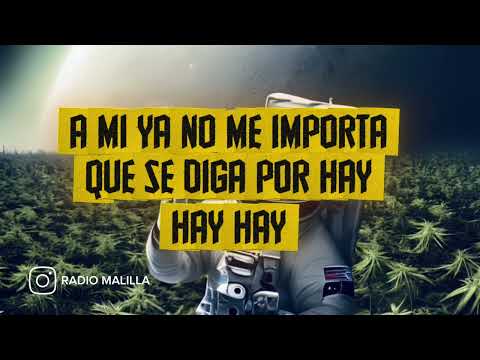 Yesca Fresa - Radio Malilla (Rebajada Lyrics Video)