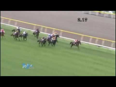2009 優駿牝馬（オークス） YUSHUN HIMBA (JAPANESE OAKS)