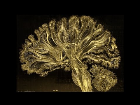 SATPREM - La forteresse du mental (La genèse du surhomme, extrait)