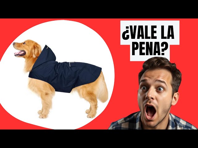 Vídeo relacionado con CYP BRANDS - Osasuna - Chubasquero para Perro - Talla M