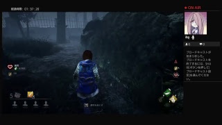 のんびりDbd