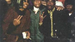 Digital Underground - Walk Real Kool