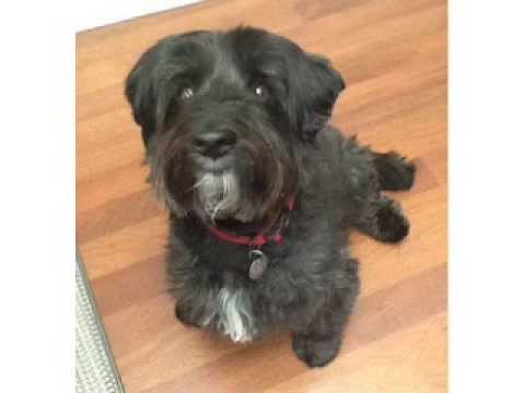 Happy Birthday !  Mommy, from Hannah & Max