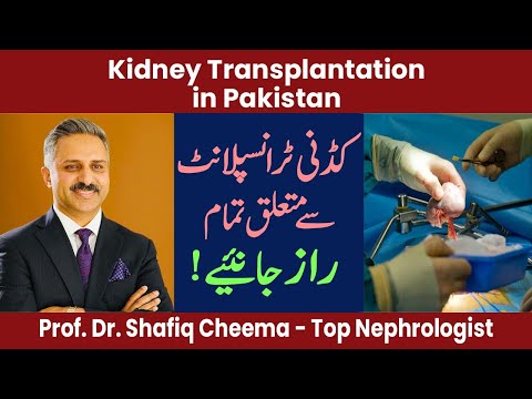 Kidney Transplantation in Pakistan | What You Need to Know