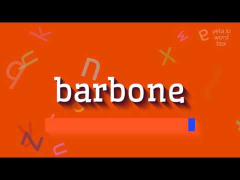 HOW TO SAY BARBONE? #barbone