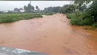 preview picture of video 'Rain in natham திருமணிமுத்தாறு'