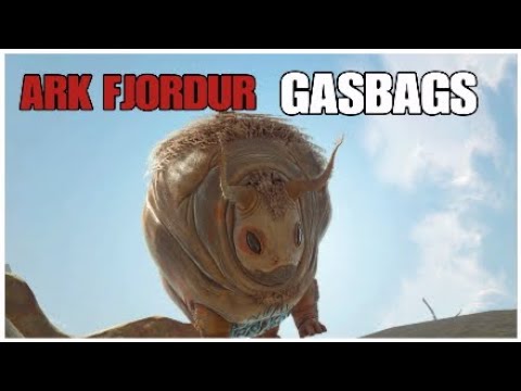 🎒ARK FJORDUR GASBAGS -(Como,donde…?) -FJORDUR GASBAGS UBICACIÓN