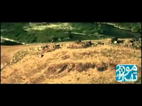 Mohsen Namjo   Toranj  TehranMusic 