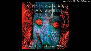 Strapping Young Lad - 09 - Drizzlehell