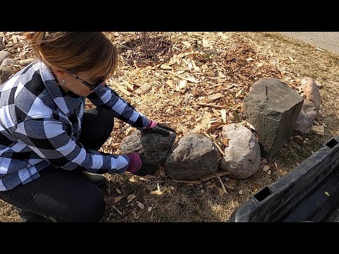 Making a new border of rocks for my new garden bed !!💪🪨🌸 // Suburban Oasis March 2021