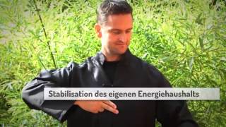 preview picture of video 'Ganzheitliches Coaching Qi Gong Kurse Energie-Medizin Troisdorf Schule für Qi Gong und Lebenskunst'