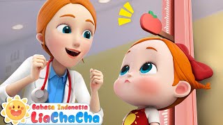 Download lagu Hari Pemeriksaan Kesehatan | Kebiasaan Kesehatan untuk Anak | Lagu Anak | LiaChaCha Bahasa Indonesia mp3