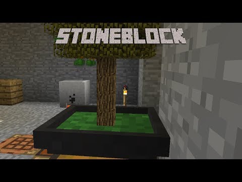 StoneBlock - SUPER OP FOOD [E03] (Modded Minecraft)