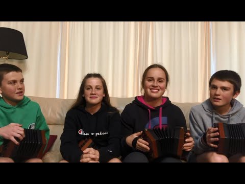 Homebaked Concertina #8 Australia 2020