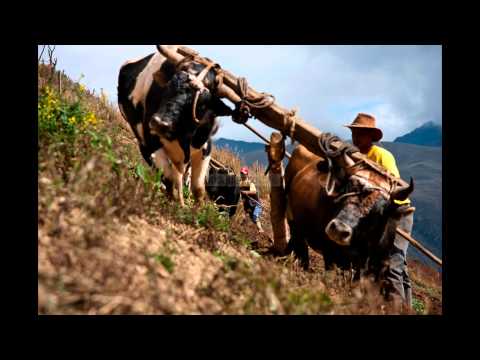Musica campesina mix + los serranitos 5