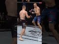 On This Day: Justin Gaethje Delivered KOs & Backflips!