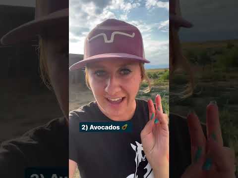 لا تطعم حصانك هذه الأشياء الستة أبدًا!