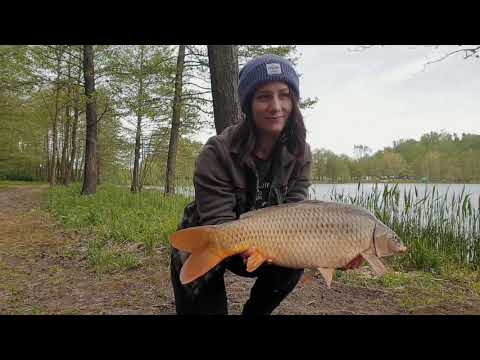 SEDO - Team Hungary Kitti hétvégi horgászata CurvX-el. WWW.SEDOFISHING.COM