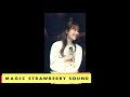 CHEEZE - Ticket (Live)