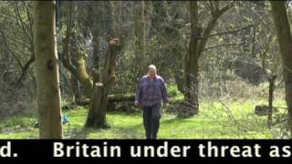 Godalming becomes Surrey's Pompeii. Startling video footage of Iceland's volcanic ash cloud
