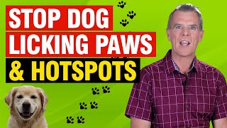 Why Dogs Lick Paws Constantly (FIX The Underlying Cause Naturally)