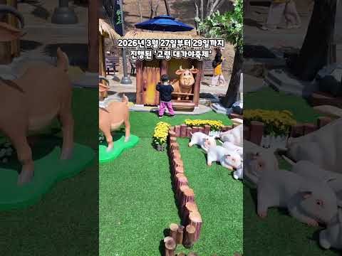 2026 대가야축제 현장속으로~ #고령군sns기자단 홍우석