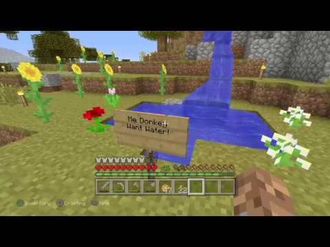 Me Donkey Want Water!