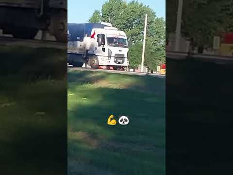 Pasando Trenque Lauquen