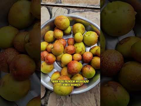 O perigo escondido dentro de frutas comuns