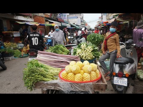 Morning Daily Life Style at Phsa Kilometers 7 - Morning Street Food Scene @Kilometers 7 Market