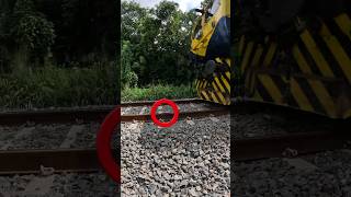 Something crazy happened to Brinjal 🍆 🧐  #train #shorts