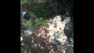 Just finished this Geocache in Northeast Pennsylvania