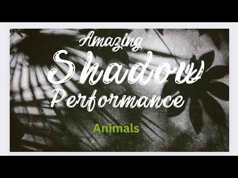 Frozen shadow performance showing animals#shadowplays #shadowplayhighlights