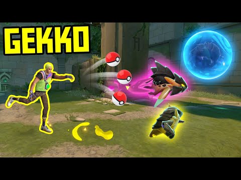 POV: You're a Gekko Master