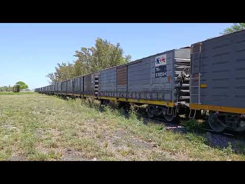 Gt- 22 (9101) con un Tren Cargado de N.C.A a su paso por "Estación Beltrán" en pleno dia 🚂☀️🇦🇷