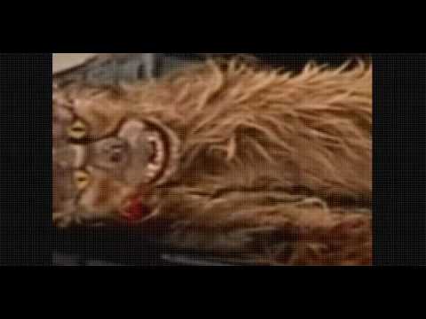 La Venganza de Hercules Pelicula Completa