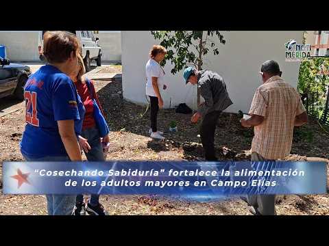 ‎🌱👵 “Cosechando Sabiduría” fortalece la alimentación y el bienestar de los mayores en Campo Elías