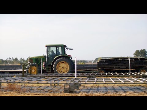 Tour Stop 3: Planting Pine Seeds in Containers