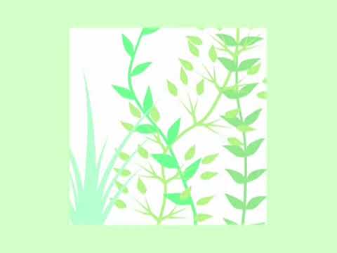 untitled_0259 (Sound Only) - ころんば