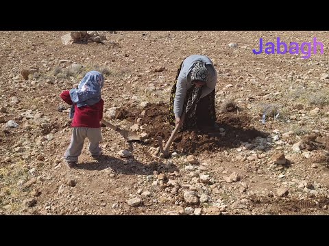 Tehmina's dream to build a cottage