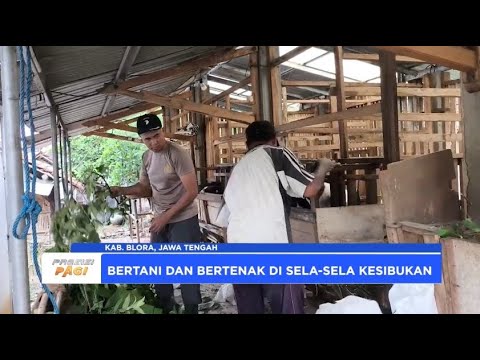 KANIT BINMAS POLSEK BOGOREJO BERTANI DAN BETERNAK