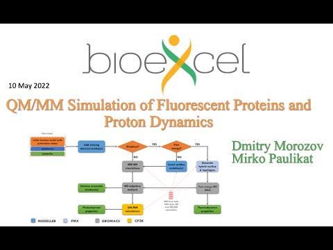 BioExcel Webinar #65: QM/MM Simulation of Fluorescent Proteins and Proton Dynamics