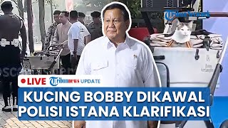 LIVE: Prabowo Dihujat Berlebihan Bobby Kucing Dikawal Polisi, Istana Buka Suara: Kok Gitu Diprotes