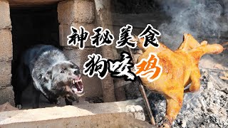 吓死了，为了吃烤鸡差点被狗咬是一种什么体验？