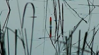 Ловля карася во второй половине сентября