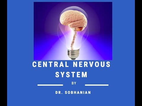 Central Nervous System Part 1