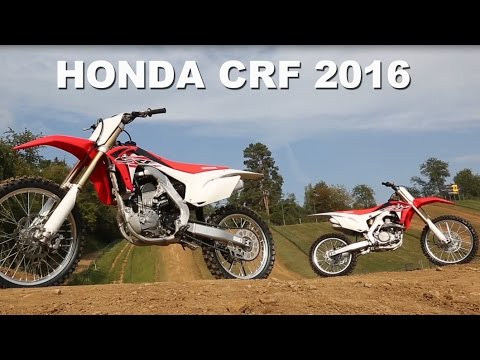 Video de YouTube