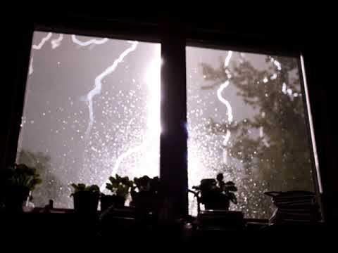 młody yerba x maly elvis - rockstar jest burza a lte boys dają obok koncert