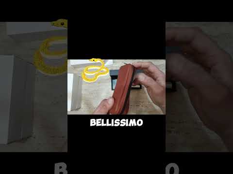 Shell briar 321/529 pipa Dunhill anno del serpente