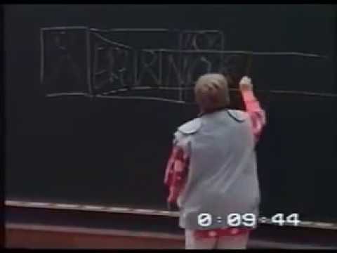 Potentialentfaltung & Erziehung  - Vera F  Birkenbihl